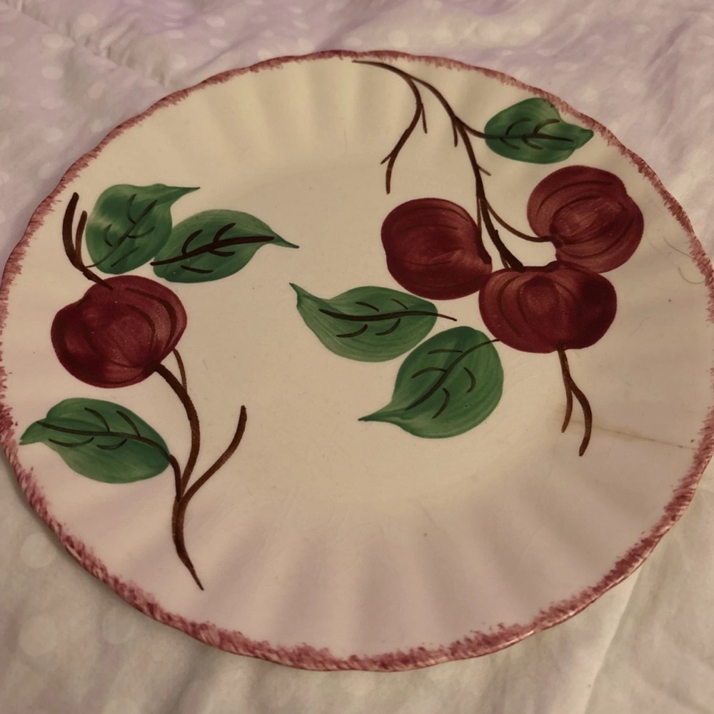 Authentic Blue Ridge Southern Potteries Antique Collectable Vintage Plate